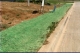 Stormwater Pollution Prevention: What We Can Do – Video Series